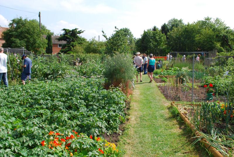 Norwell Allotments / Parish Gardens